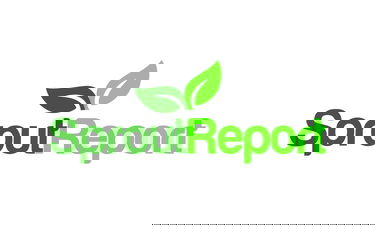 SproutReport.com - Creative brandable domain for sale